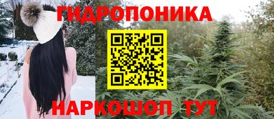 крисы Бийск