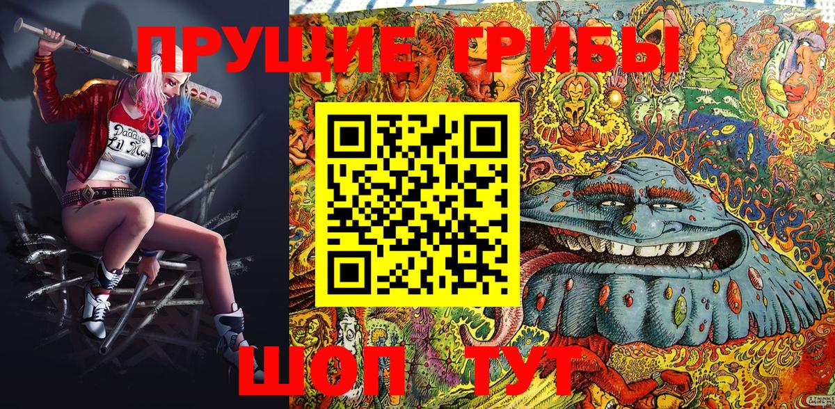 Каменск-Уральский  дарнет шоп  Галлюциногенные грибы Cubensis  Вход с VPN  Галлюциногенные грибы мухоморы 